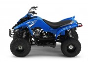 Yamaha YBR 125